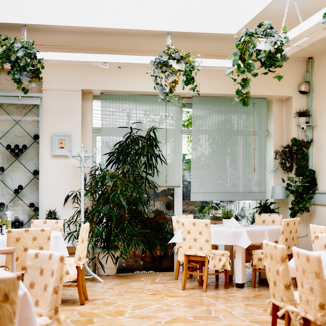 Sala restauracyjna Nowy Świat pełna zieleni Przytulne wnętrze z roślinami