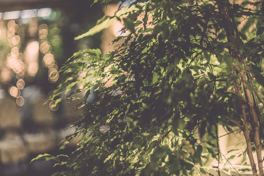 Majówka w restauracji Nowy Świat Dekoracje w restauracji Nowy Świat przygotowane na majówkowe spotkania