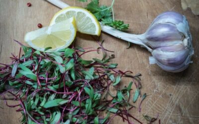 KUCHNIA ŚRÓDZIEMNOMORSKA – KIERUNEK ZDROWIE!