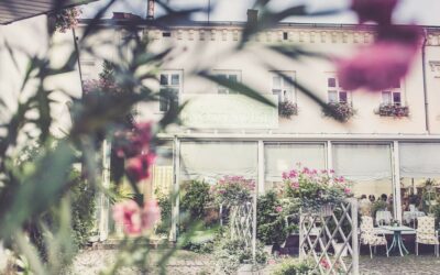 WAKACJE NA PÓŁMETKU