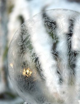 życzenia świąteczne od restauracji Nowy Świat Świąteczne życzenia od Restauracji Nowy Świat w Bielsku-Białej